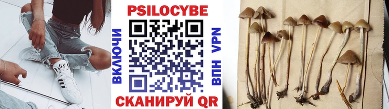 Псилоцибиновые грибы Cubensis  Чкаловск 