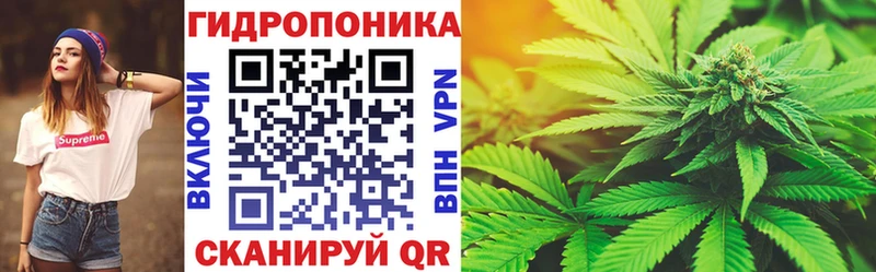 Бошки Шишки план  Чкаловск 